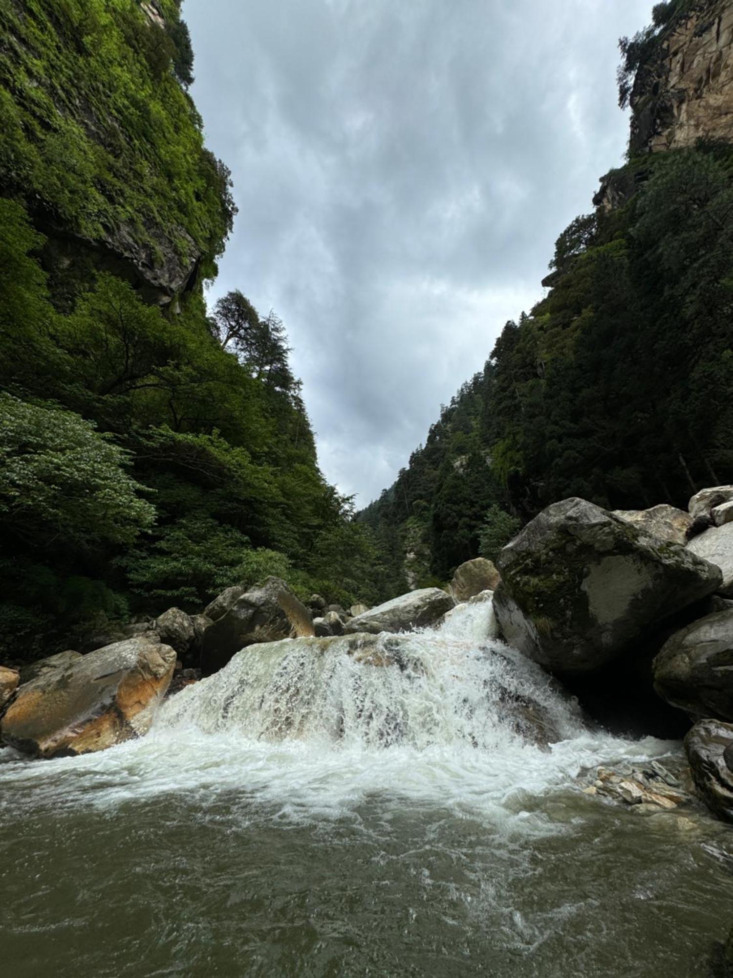 Delight Homestay Kasol Extérieur photo